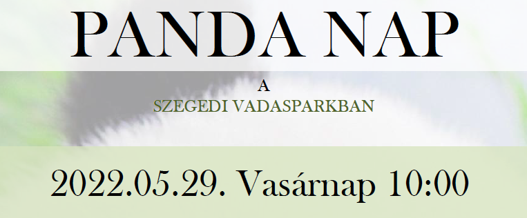 Panda Nap a Vadasparkban